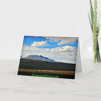 Chisanaの美しい カード