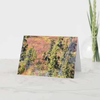 Chisanaの美しい カード