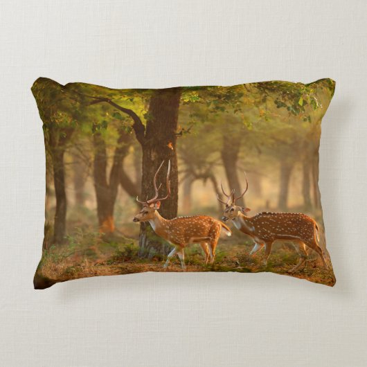 Chital or cheetal, Axis axis, spotted deers or axi アクセントクッション (正面)