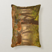 Chital or cheetal, Axis axis, spotted deers or axi アクセントクッション (正面(垂直))