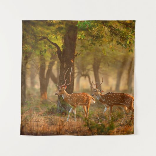 Chital or cheetal, Axis axis, spotted deers or axi タペストリー (正面)