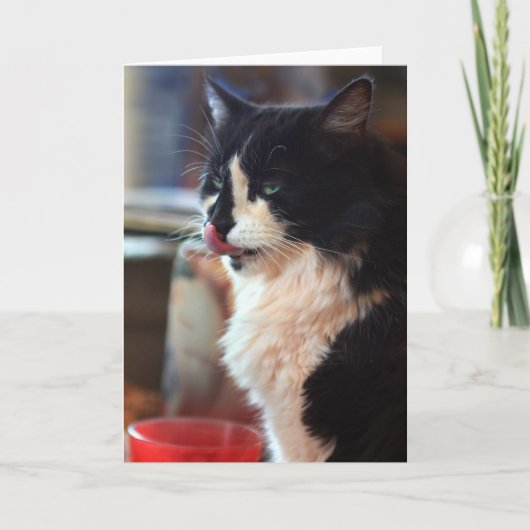 Chloeは舐めます カード (正面)