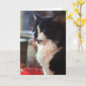 Chloeは舐めます カード (黄色い花)