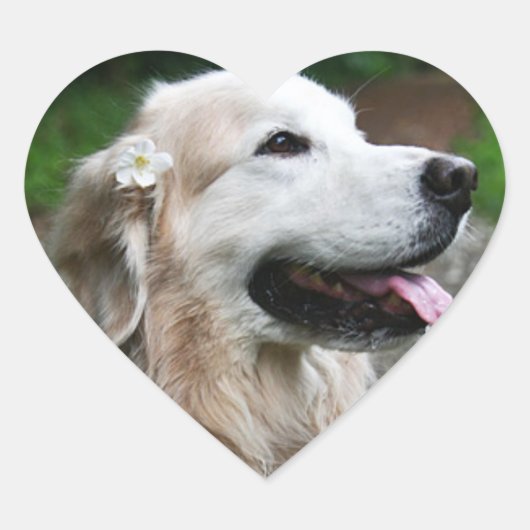 CHO CHOシールのシート ハートシール (正面)