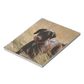 Chocolate Brown Labrador Retriever ノートパッド (回転)