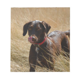 Chocolate Brown Labrador Retriever ノートパッド