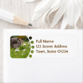 Chocolate Labのデイジーラベル ラベル (インサイチュ)