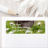 Chocolate Labのデイジーラベル ラベル (インサイチュ)