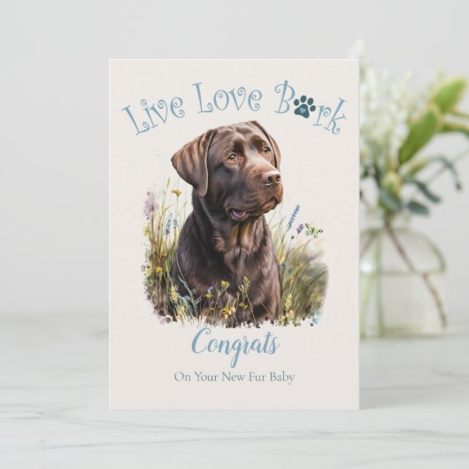 Chocolate Lab Dog Adoption、Gotcha Day カード (スタンド正面)