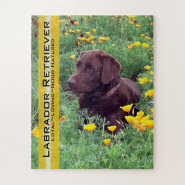 Chocolate Lab in California Poppy Patch カスタム ジグソーパズル
