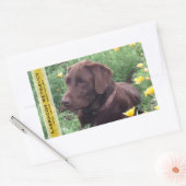 Chocolate Lab in California Poppy Patch カスタム 長方形シール (封筒)