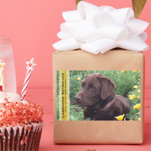 Chocolate Lab in California Poppy Patch カスタム 長方形シール (パーティー)