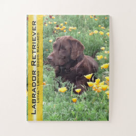 Chocolate Lab in California Poppy Patch ジグソーパズル