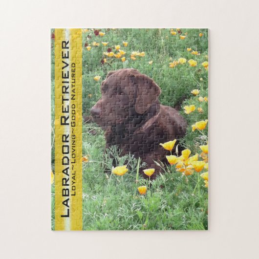 Chocolate Lab in California Poppy Patch ジグソーパズル (縦)
