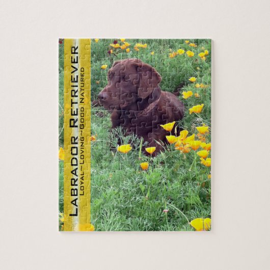 Chocolate Lab in California Poppy Patch ジグソーパズル (縦)