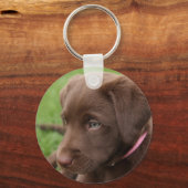Chocolate Lab Pup Keychain キーホルダー (正面)