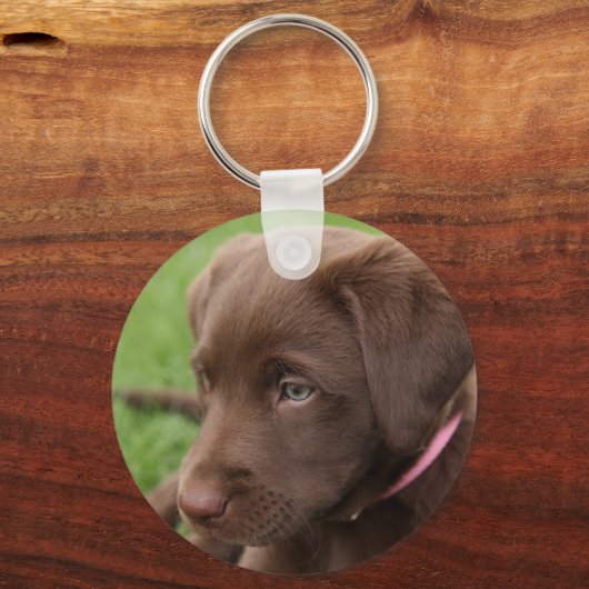 Chocolate Lab Pup Keychain キーホルダー (正面)