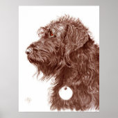 Chocolate Labradoodle Print ポスター (正面)
