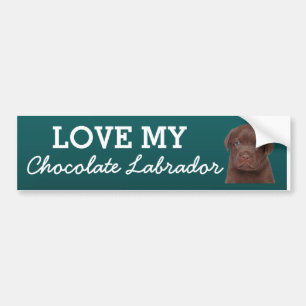 Chocolate Labrador バンパーステッカー