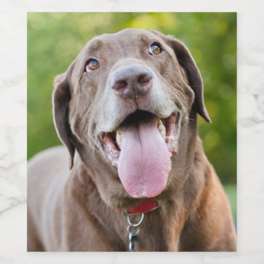 Chocolate Labrador Dog ワインラベル (シングルラベル)