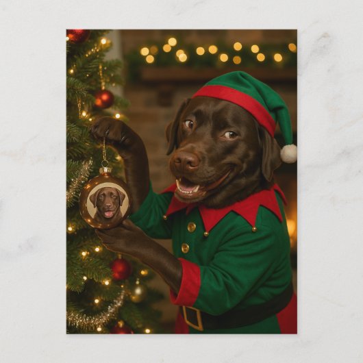 Chocolate  Labrador Dog Christmas Holiday postcard シーズンポストカード (正面)