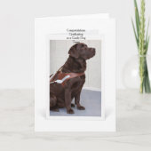 Chocolate Labrador Guide Dog Graduation カード (正面)