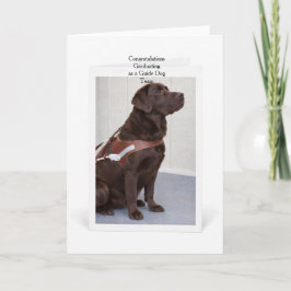 Chocolate Labrador Guide Dog Graduation カード