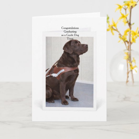 Chocolate Labrador Guide Dog Graduation カード (黄色い花)