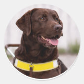 Chocolate Labrador Guide Dog Graduation  ラウンドシール (正面)