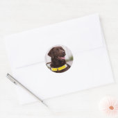 Chocolate Labrador Guide Dog Graduation  ラウンドシール (封筒)