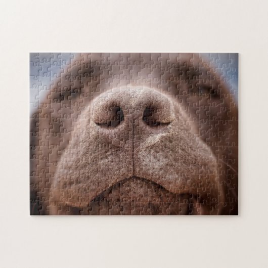 Chocolate Labrador Nose Closeup ジグソーパズル (横)