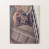 Chocolate Labrador Puppy In Car ジグソーパズル (縦)