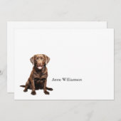 Chocolate Labrador Retriever Note Card サンキューカード (正面/裏面)