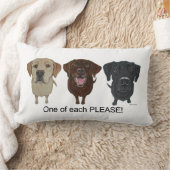 Chocolate, yellow and black Labrador Retriever ランバークッション (ブランケット)