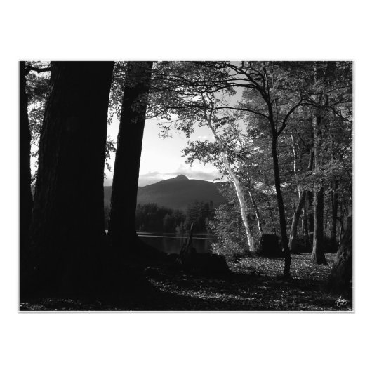 Chocorua Sunset Open Editの白い樺の木。プリント フォトプリント (正面)