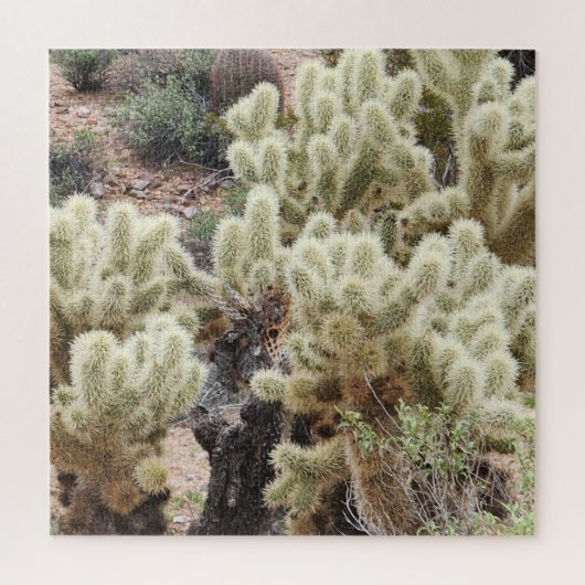Cholla Cactusの写真 ジグソーパズル (縦)