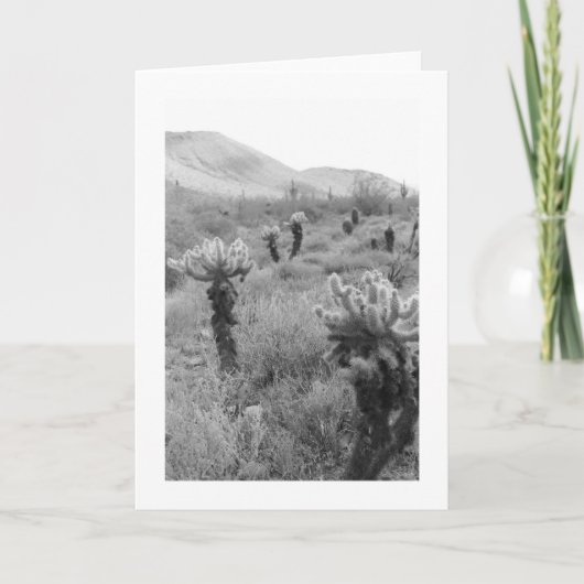 Cholla Cactus砂漠の写真グリーティングカードをジャンプ カード (正面)