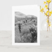 Cholla Cactus砂漠の写真グリーティングカードをジャンプ カード (黄色い花)