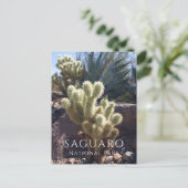 Cholla Cactus, Agave, Saguaro National Park, AZ Po ポストカード (スタンド正面)