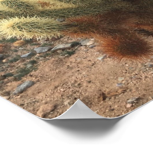 Cholla Cactus Joshua Tree Park写真 ポスター (角)