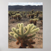 Cholla Cactus Joshua Tree Park写真 ポスター (正面)