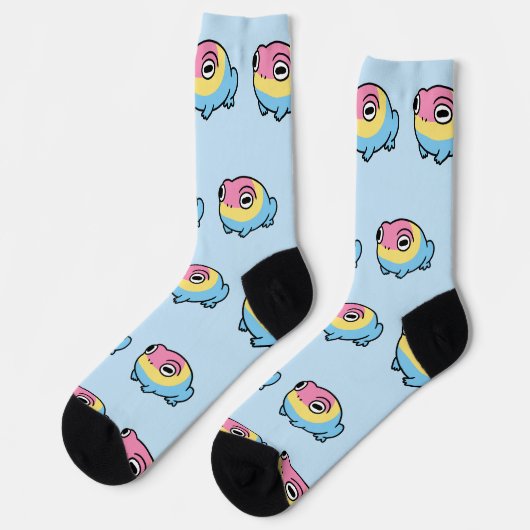 Chonky Pansexual Frog Pride Socks | Cute Pan Pride ソックス (左)