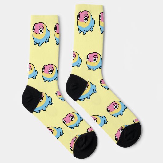 Chonky Pansexual Frog Pride Socks | Cute Pan Pride ソックス (右)