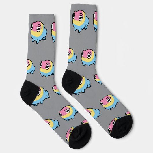 Chonky Pansexual Frog Pride Socks | Cute Pan Pride ソックス (右)