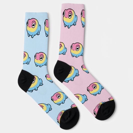 Chonky Pansexual Frog Pride Socks | Cute Pan Pride ソックス (右)