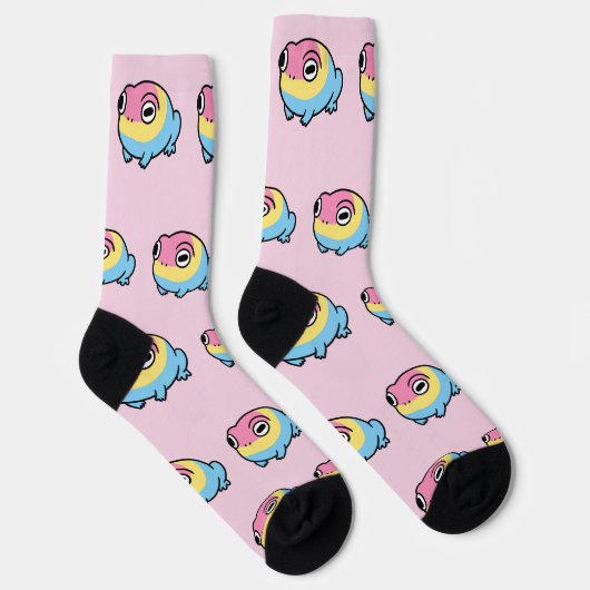 Chonky Pansexual Frog Pride Socks | Cute Pan Pride ソックス (右)