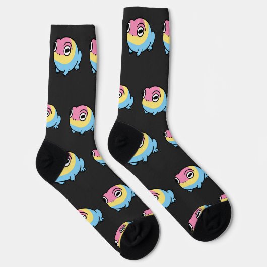 Chonky Pansexual Frog Pride Socks | Cute Pan Pride ソックス (右)