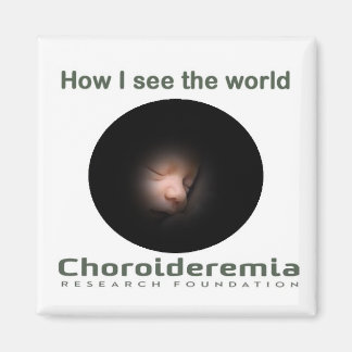 CHOROIDEREMIA世界を見る方法 – 磁石