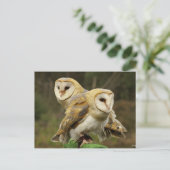 Chouette ポストカード (スタンド正面)