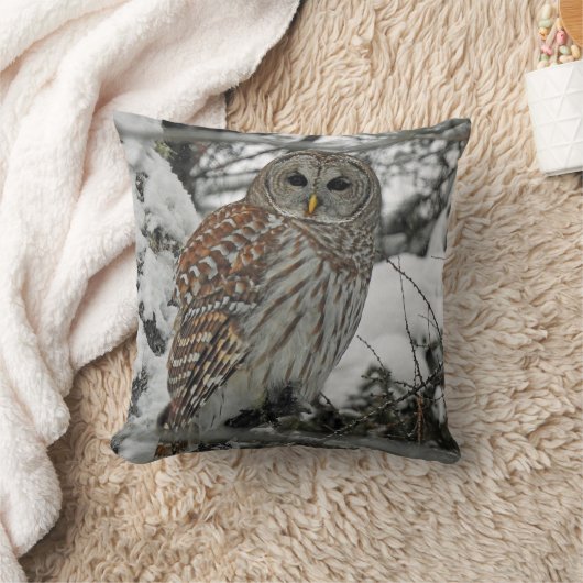 Chouette rayée クッション (ブランケット)
